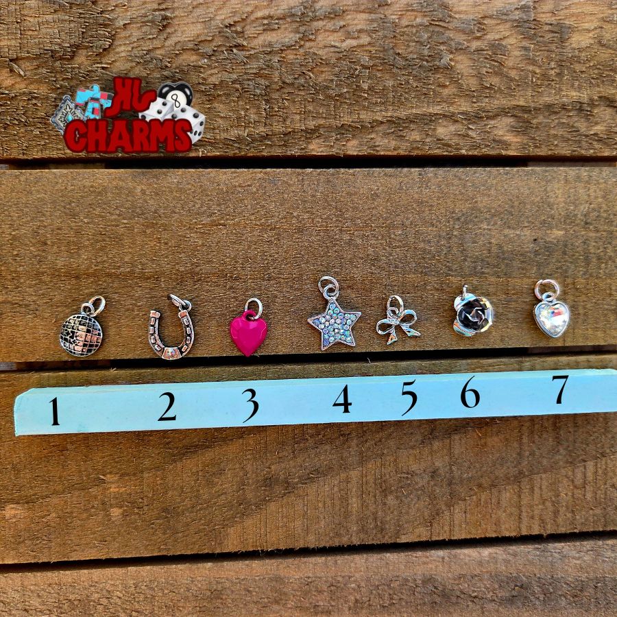 Rodeo Charms